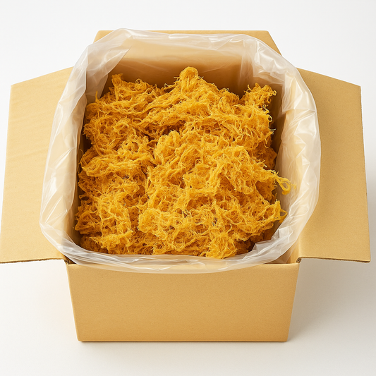 Wholesale Sea Moss Ocean Harvested Wildcrafted Sun-dried Organic Bulk Seamoss -  Gold